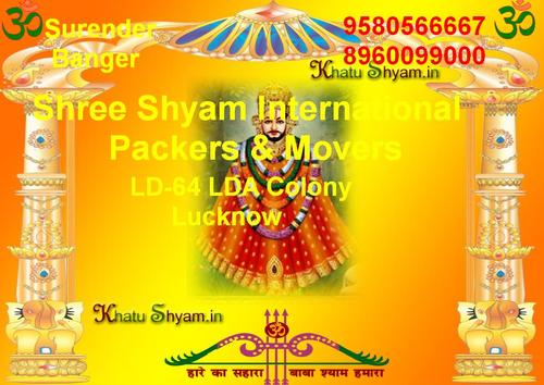 PackersP's profile picture. 