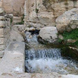 Randonnesentuni's profile picture. 