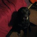 chris newberry - @chrisnewberry3 - Twitter