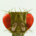BioEd Online (@bioedonline) Twitter profile photo BioEd Online (@bioedonline) Twitter profile photo