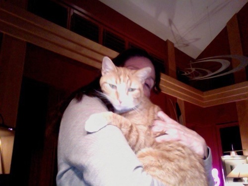 CochranEileen's profile picture. Defender of the downtrodden