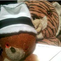 Mr. Bear(@MrBearStumpy) 's Twitter Profile Photo