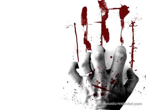 fev_tol's profile picture. 