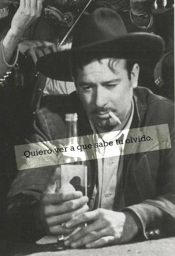 Guitarrista, skate, pop rock, México