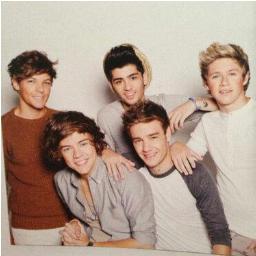 yo soy parte de  #1DFamily
nuestro sueño es conocer a los chicos de @onedirection