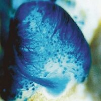 smellstories (@smellstories) 's Twitter Profile Photo smellstories (@smellstories) 's Twitter Profile Photo