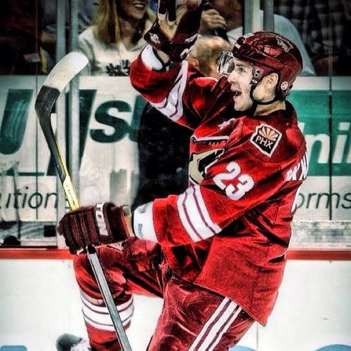 When life gives you a bag of pucks, go bar down.