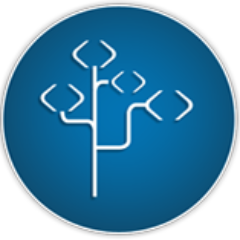 RootCodeMexico's profile picture. 