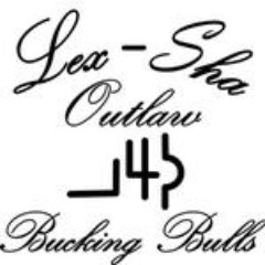 lexshabulls's profile picture. 