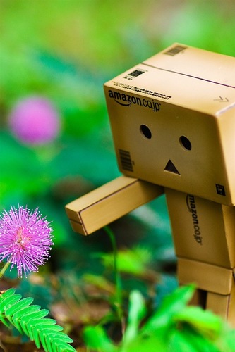 CharW1902's profile picture. dreamer,  love adventure