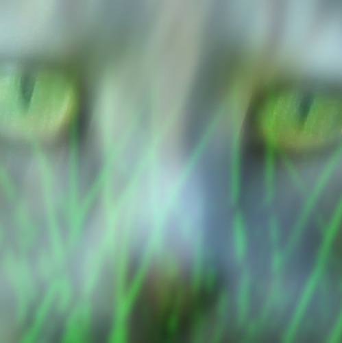 ifpwerner's profile picture. Carol and Mike Werner, Stock Photography