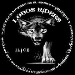 Twitter oficial de Lobos Riders Ilice, siguenos¡¡ Rutas, motoalmuerzos, quedadas... en la zona de Levante.