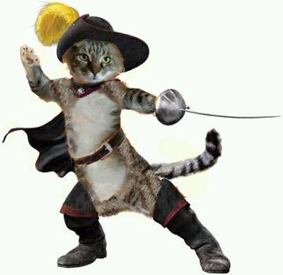 MarBearCat's profile picture. Pennsylvania's favorite cat!