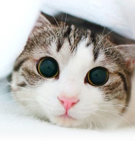 st_pashik's profile picture. 