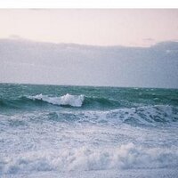 sardine94 (@sardine94) 's Twitter Profile Photo