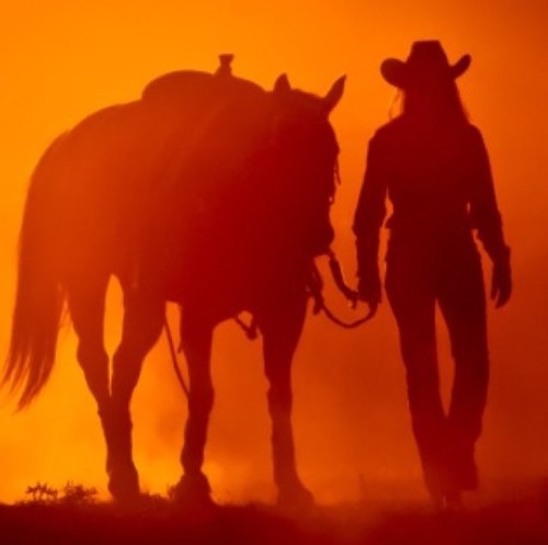 CowgirlFitspo's profile picture. A country girl on a mission to a healthy lifestyle and fitness.