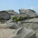 Fabian Muños - @FabianMunos - Twitter