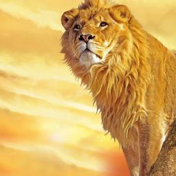 bornik831's profile picture. Интересуюсь созданием бизнеса в интернете, финансовой независимости. Люблю путешествовать.