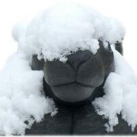 jen walsby (@llanwrtydjen) 's Twitter Profile