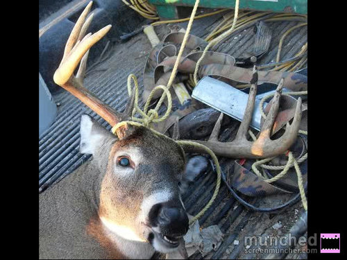 F150_superstang's profile picture. i like to party