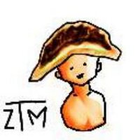 ざつむ/雑務 (@furai_ztm) 's Twitter Profile