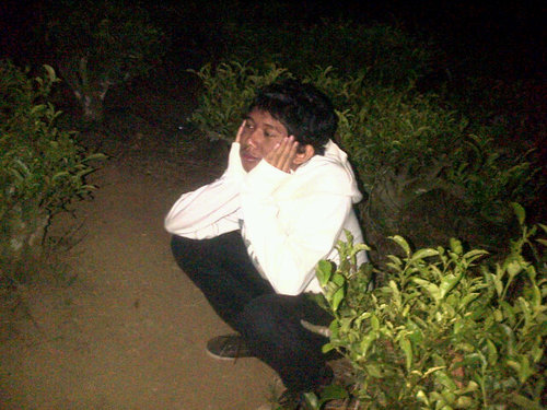 catfiz for nokia c3