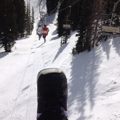 lilanon's profile picture. 