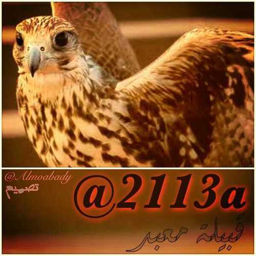 ‏‏ل أبناء عسكر البارود مكان ومساحه خاصه جداً هنا و بإسلوب حضاري جميل

في المفضله  كل ما يـخـصهم نتشرف بمتابعتكم