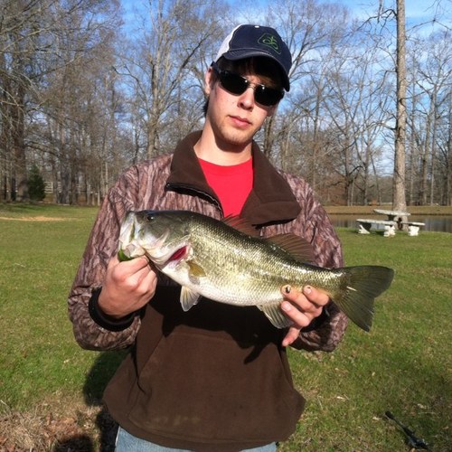 deer0131's profile picture. 