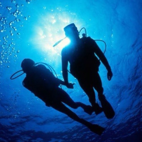 DiversGuide's profile picture. Divers Guide to divesites, traveling, gear. Everything diving.
