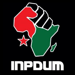 Toronto chapter of the International People's Democratic Uhuru Movement. Struggling for power and organization for the Black community. One Africa! One Nation!