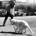 Julia Conlin - @JULIA_CONLIN - Twitter