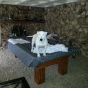 dave eliason - @daveeliasonjr - Twitter