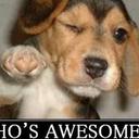 Gavin Dempsey - @bballdemps52 - Twitter