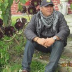 benzalt's profile picture. 