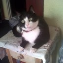 Felix Davis - @Diddy_F_Davis - Twitter