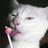 vivi606's profile image