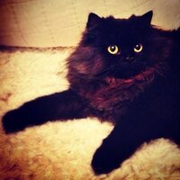 Douglas Berton Furr (@douglasbfurr) 's Twitter Profile