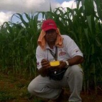 Francisco Larez (@fcolarez3) 's Twitter Profile