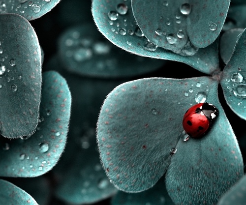 nellie589's profile picture. 