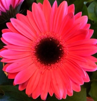 Sunetra16's profile picture. 