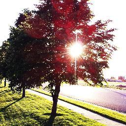 Better Logan is bringing residents together to make Logan, Utah even better. http://t.co/VJL72t66o1