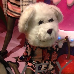 ayakitamuraa's profile picture. 💛