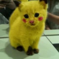 vickileegibb's profile picture. I love Dr Who, Once upon a Time, Harry Potter