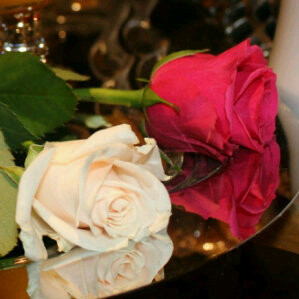 narjasya333's profile picture. ‏‏‏‏القنـــــ ⇡ـاعه عدســ ـ¸ـه ان لبسناهـ ¸ـا رآيــ ¸ـنا  الحياه جميـــ ❥ـله