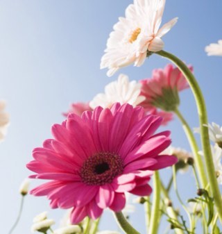 caballero1127's profile picture. 