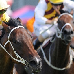 Bradley_Photos's profile picture. NSW Thoroughbred Racing Photography