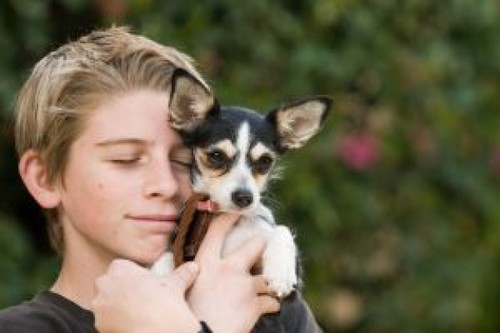 (-: TRUE stories and FUNNY JOKES about Cool and Cute dogs! :-)