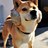 ichi5457's profile image