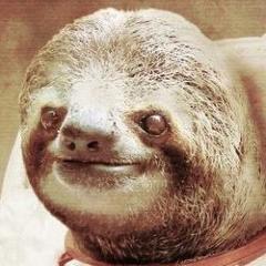 The most interesting sloth in the World.